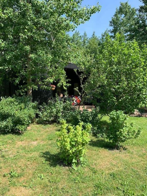 Small Cozy 3-Room House With Terrace & Large Garden Ilmandu エクステリア 写真