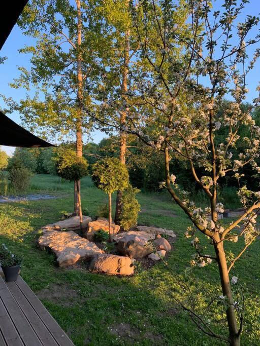 Small Cozy 3-Room House With Terrace & Large Garden Ilmandu エクステリア 写真